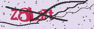 Captcha認証コード
