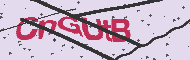 Captcha認証コード