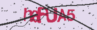 Captcha認証コード