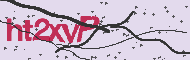 Captcha認証コード
