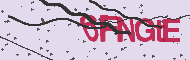 Captcha認証コード