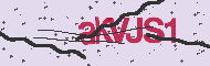 Captcha認証コード