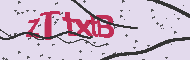Captcha認証コード